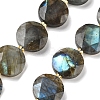 Natural Labradorite Beads Strands G-C116-A164-03-2