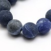 Frosted Natural Sodalite Round Bead Strands G-M064-12mm-01-2
