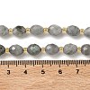 Natural Labradorite Beads Strands G-F809-A47-01-6