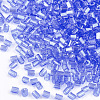 FGB Grade A Glass Seed Beads SEED-S022-03H-2