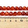 Dyed Natural Agate Beads Strands G-T141-16A-01-5