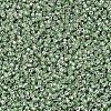 MIYUKI Delica Beads SEED-JP0008-DB0413-3