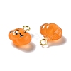 Halloween Pumpkin Opaque Resin Charms RESI-B010-02-3