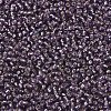 MIYUKI Round Rocailles Beads X-SEED-G007-RR0024-3