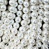 Shell Pearl Beads Strands X-BSHE-E008-8mm-12-3