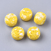 Resin Beads RESI-T024-20H-1