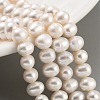 Natural Cultured Freshwater Pearl Beads Strands PEAR-C003-26-1