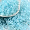 Glass Seed Beads SEED-M011-02A-06-1