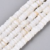Natural Freshwater Shell Beads Strands SHEL-Q028-01-2