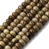 Natural Picture Jasper Beads Strands G-A280-A03-01-2