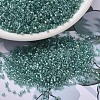 MIYUKI Delica Beads SEED-X0054-DB1767-1