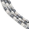 Electroplated Shell Pearl Beads Strands BSHE-H113-06A-02-3