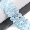 Natural Selenite Beads Strands G-C142-01C-04-2