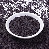 MIYUKI Round Rocailles Beads X-SEED-G007-RR2005-2