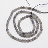 Faceted Round Natural Labradorite Bead Strands X-G-I156-03-4mm-2