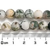 Natural Tree Agate Frosted Agate Round Gemstone Beads Strands G-O151-01-8mm-3