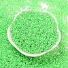 Electroplate Transparent Glass Seed Beads SEED-S042-16A-07-2