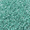 MIYUKI Delica Beads X-SEED-J020-DB0238-3