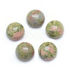 Natural Unakite Cabochons X-G-P393-R31-10mm-1