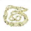 Prehnite Chip Bead Strands G-M205-11-2