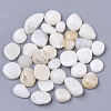 Sea Shell Beads SSHEL-S258-71-2