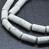 Natural Howlite Beads Strands G-F631-F03-3