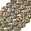 Natural Dalmatian Jasper Beads Strands G-L648-B19-15mm-3