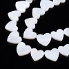 Natural Freshwater Shell Beads Strands SHEL-N027-21-3