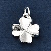 925 Sterling Silver Charms LS-FIND-Z069-04S-C-2