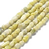 Natural Jade Beads Strands G-P497-01A-06-1
