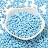 6/0 Opaque Baking Paint Glass Seed Beads SEED-M012-02A-13-2