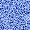 11/0 FGB Grade A Baking Paint Glass Seed Beads X-SEED-N001-A-1022-2