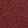 MIYUKI Round Rocailles Beads X-SEED-G007-RR4469-3