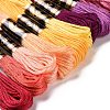 20 Skeins 20 Colors 6-Ply Polyester Embroidery Floss OCOR-M009-01D-01-2