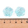 Transparent Acrylic Beads OACR-N137-32B-3