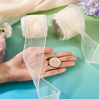 Polyester Deco Mesh Ribbons OCOR-TAC0024-004F-1