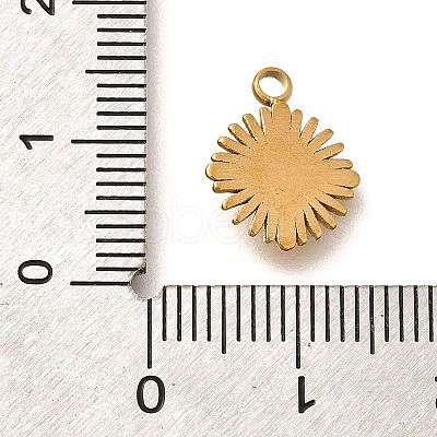 304 Stainless Steel Charms STAS-H165-22G-01-1