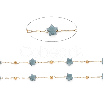 Ion Plating(IP) 304 Stainless Steel Satellite Chains CHS-G019-01G-05-1