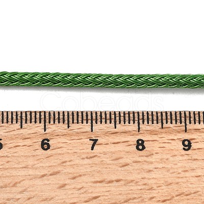 Braided Stainless Steel Cord STAS-D382-01G-1