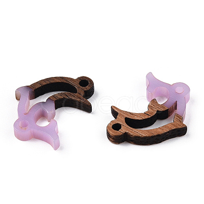 Opaque Resin & Walnut Wood Connector Charms RESI-N039-46G-1