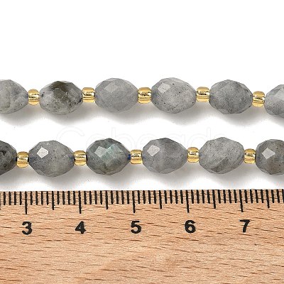 Natural Labradorite Beads Strands G-F809-A47-01-1