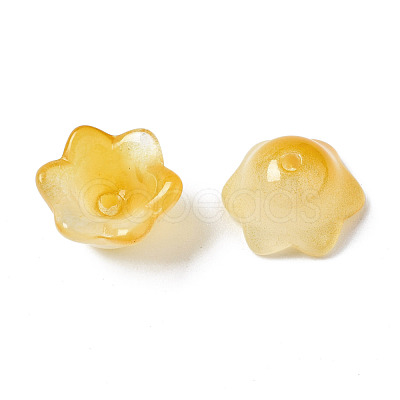 Transparent Two Tone Spray Painted Glass Beads GLAA-Q089-002B-009-1