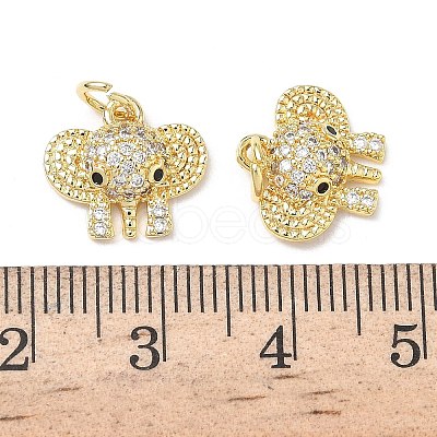 Brass Micro Pave Cubic Zirconia Charms KK-L253-10G-1