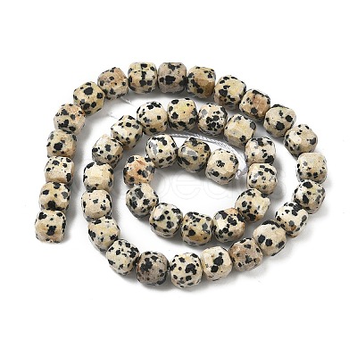 Natural Dalmatian Jasper Beads Strands G-C267-A14-1