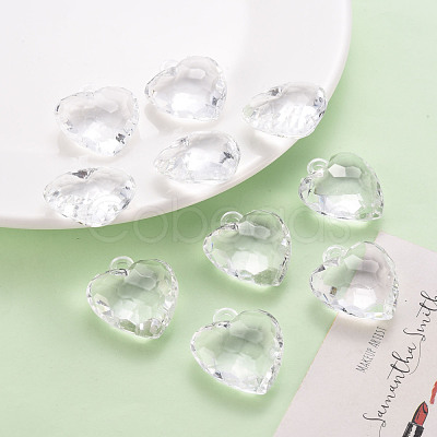 Transparent Acrylic Pendants X-TACR-T024-03B-205-1