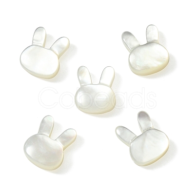 5Pcs Natural White Shell Beads BSHE-CJ0001-06-1