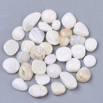 Sea Shell Beads SSHEL-S258-71-1