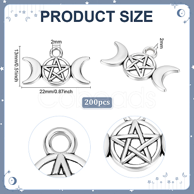 200Pcs Tibetan Style Alloy Charms TIBEP-PH0001-89-1