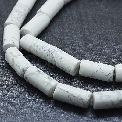 Natural Howlite Beads Strands G-F631-F03-1