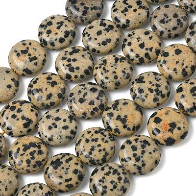 Natural Dalmatian Jasper Beads Strands G-L648-B19-15mm-1